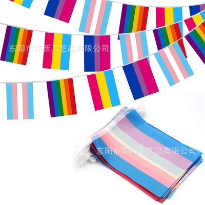 Gay lesbico Pride Triangle Flag della bandiera su ordinazione di Logo Polyester LGBT