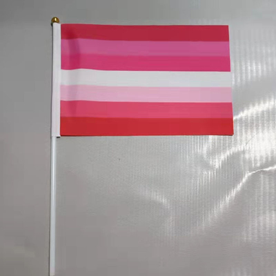 Il poliestere LGBT tenuto in mano di alta qualità 100D inbandiera le bandiere su ordinazione dell'arcobaleno