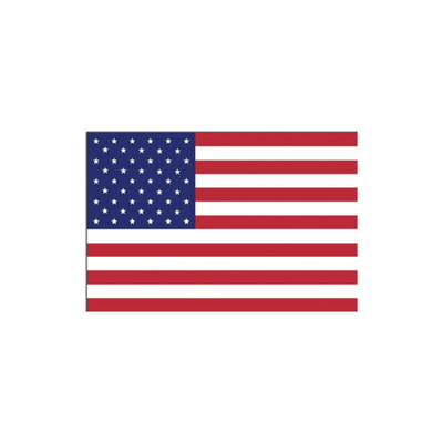 Bandiera americana stampata nazionale della bandiera 3x5 Ft del poliestere con i gommini di protezione d'ottone