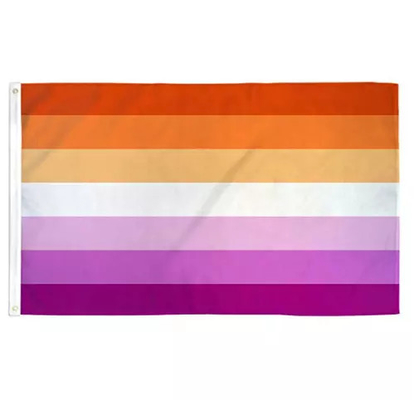 Stampa digitale Rainbow LGBT Flag 3x5Ft Bandiera del progresso in poliestere 100D