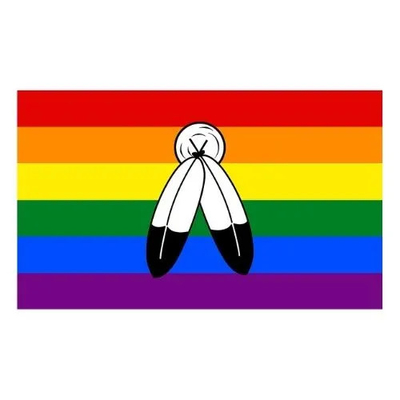 l'arcobaleno LGBT di 3x5Ft inbandiera Digital che stampa la bandiera di progresso di Bandeira LGBT
